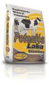 Potenfós laka vitaminas potensal